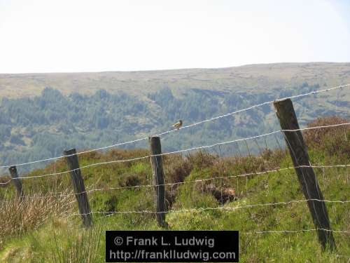 Ox Mountains, County Sligo and County Mayo